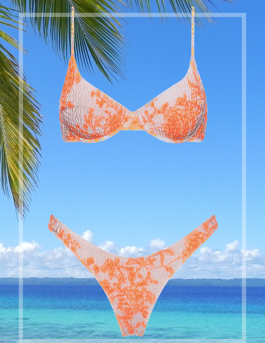 đź–¤RENAISSANCESđź–¤